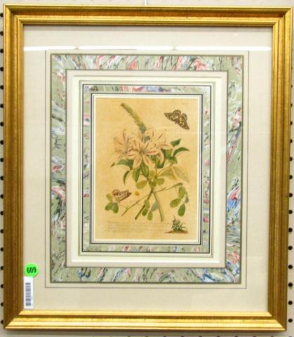 Appraisal: Two Pair of Framed Botanical Prints offset lithographic copies of