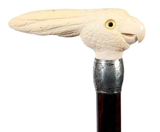 Appraisal: Mammoth Ivory Cockatoo Early th Century- A carved mammoth cockatoo