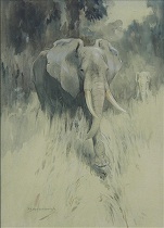 Appraisal: Raymond J Vanderbergh British th Century African Elephants Watercolor with