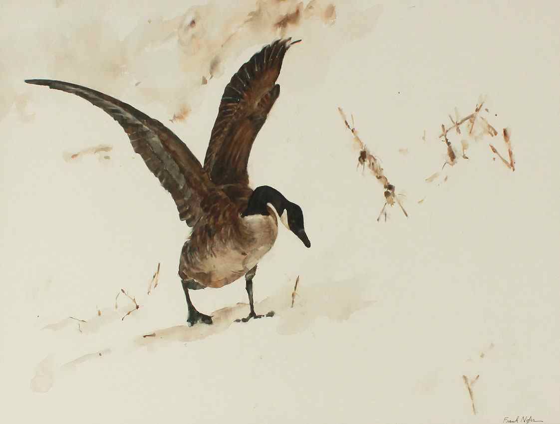 Appraisal: NOFER Frank American th Century Canadian Goose Watercolor Sight size