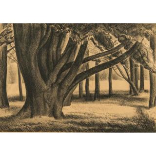 Appraisal: Paul Nyeland Charcoal Framed charcoal drawing of trees by Paul