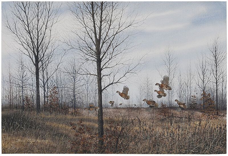 Appraisal: David Hagerbaumer American - Bobwhite Quail signed lower left David