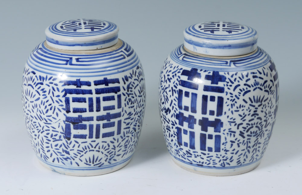 Appraisal: PAIR CHINESE BLUE WHITE DECORATED GINGER JARS Decorative th century