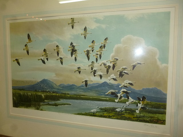 Appraisal: PETER SCOTT TH CENTURY ENGLISH SCHOOL - Snow Geese in