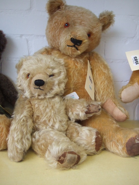 Appraisal: Two 's 'Chad Valley' golden haired teddy bears one 'Magma'