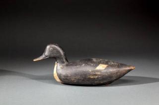 Appraisal: Swimming Bluebill Drake Seaford Long Island NYc A tack-eyed decoy