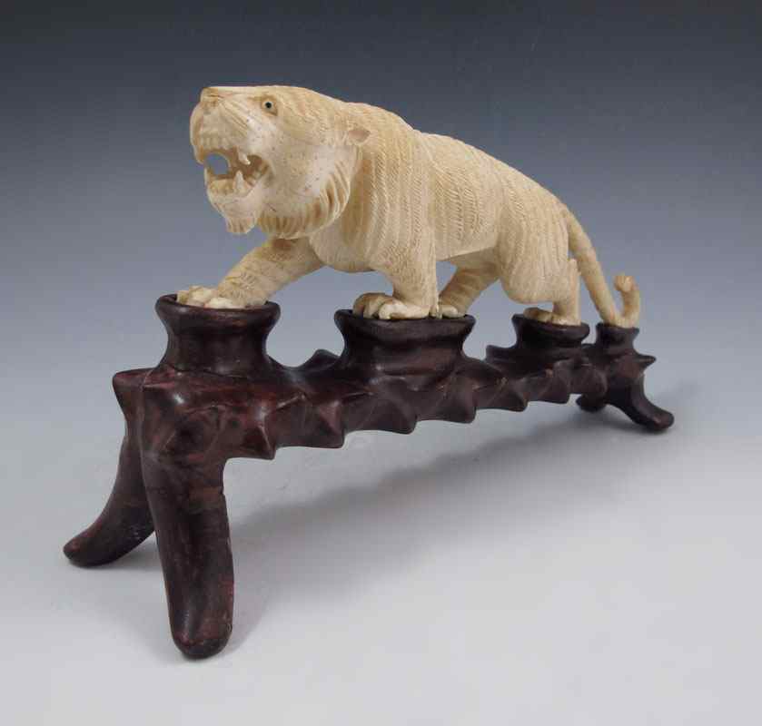 Appraisal: CARVED IVORY SABER TOOTH TIGER ON STAND Rippling muscular detail