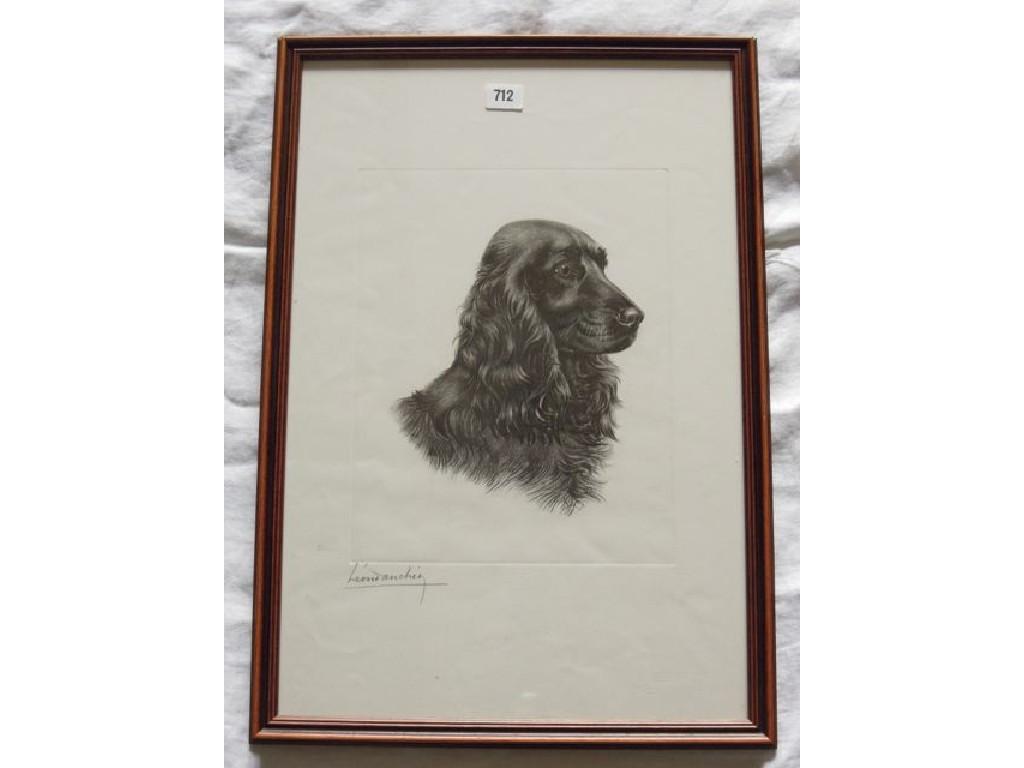 Appraisal: A signed etching of the head of a black spaniel