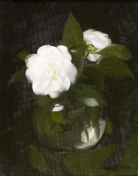 Appraisal: STUART PARK SCOTTISH - A STILL LIFE OF WHITE CAMELIAS