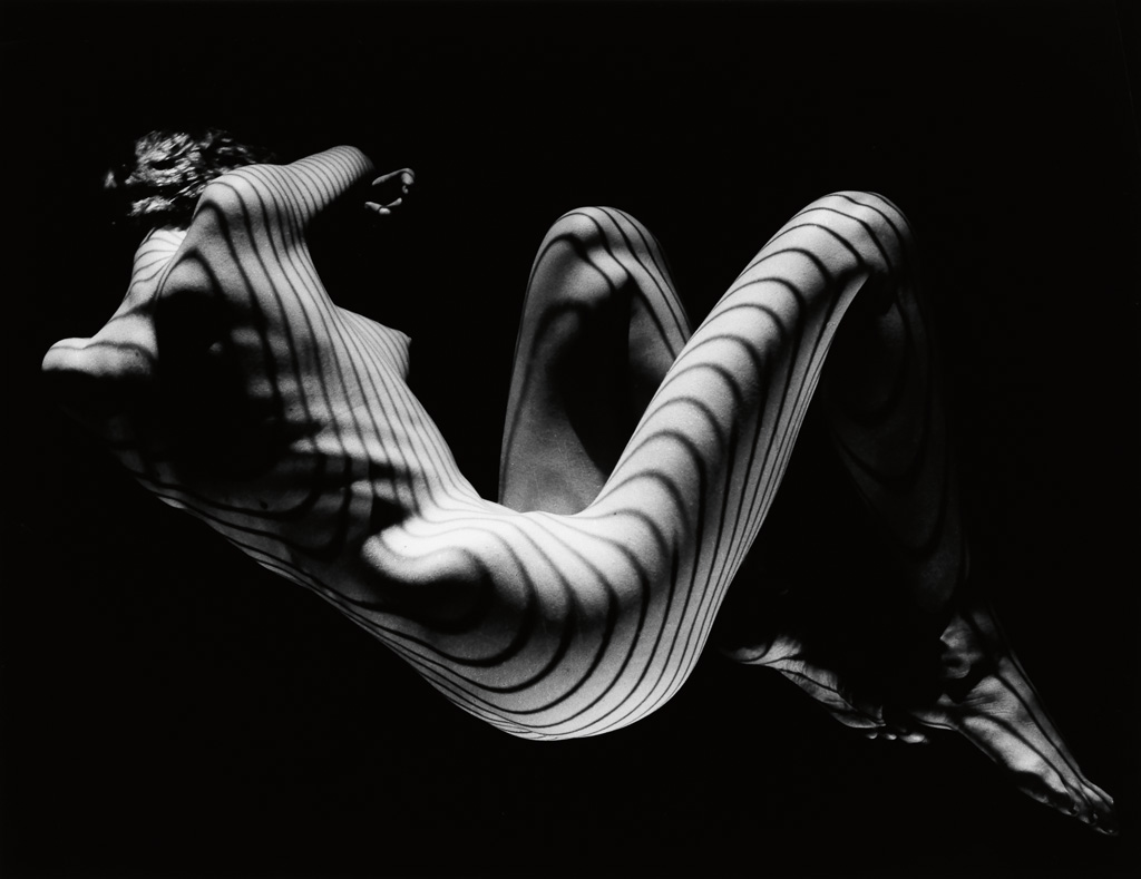 Appraisal: FERNAND FONSSAGRIVES - Contours Silver print x inches x cm