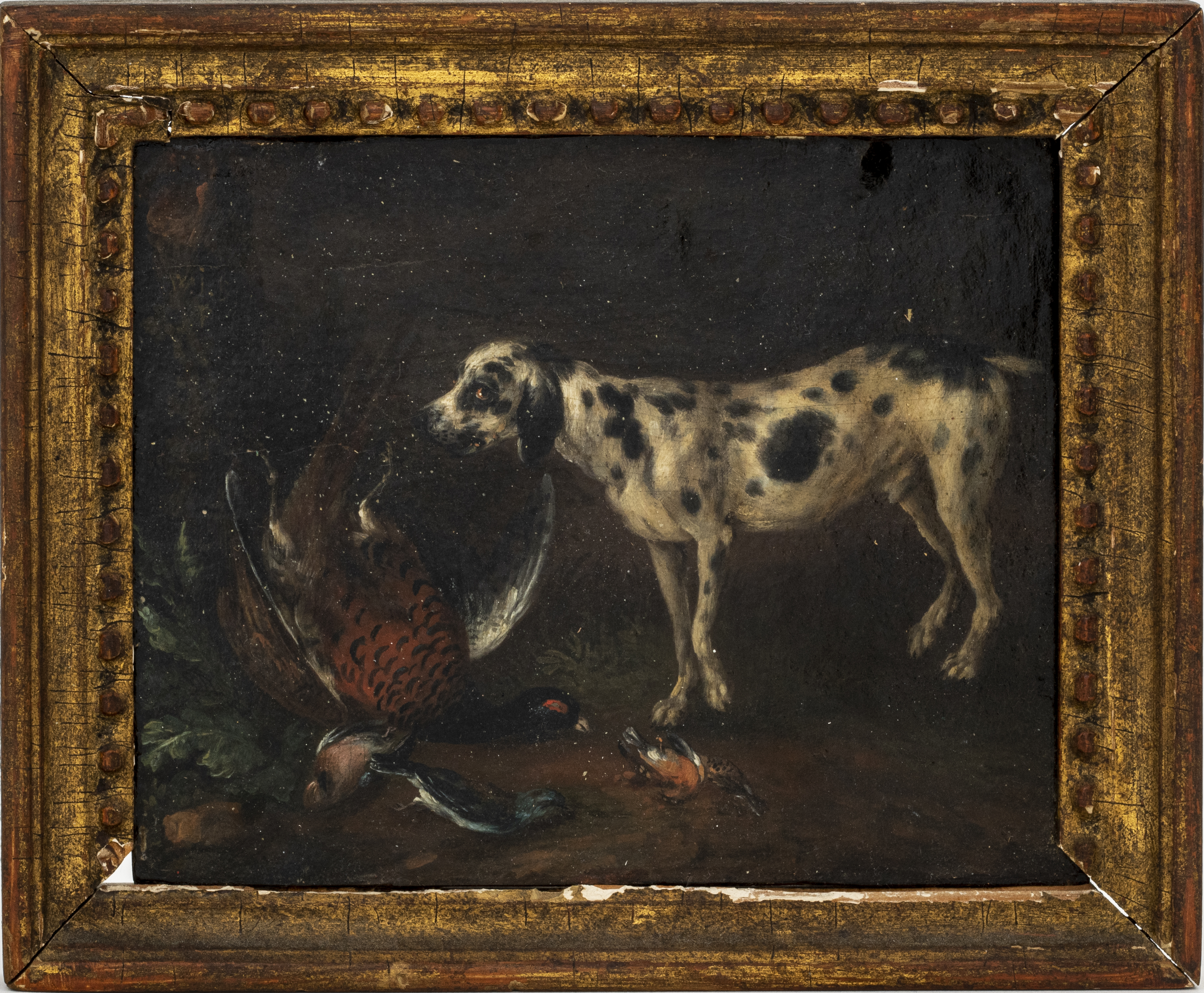 Appraisal: CONTINENTAL SCHOOL PORTRAIT OF A SPOTTED HOUND OIL Continental School