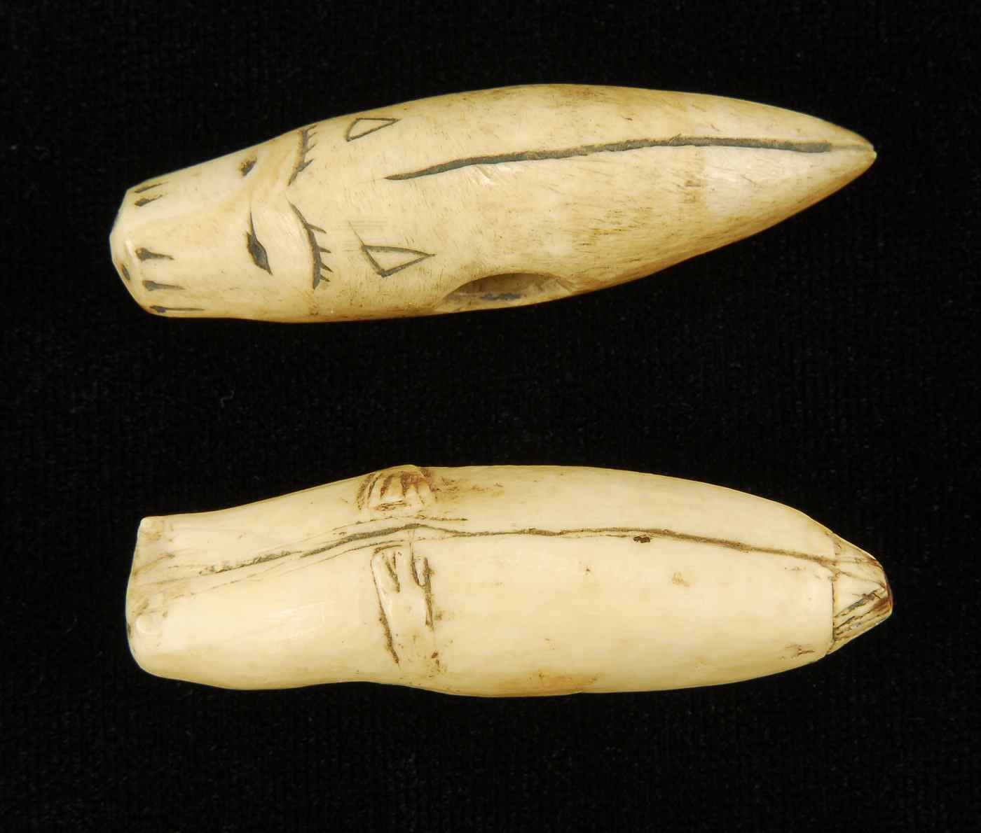 Appraisal: TWO INUIT CARVED SEAL-FORM ITEMS th CenturyWalrus ivory line attacher