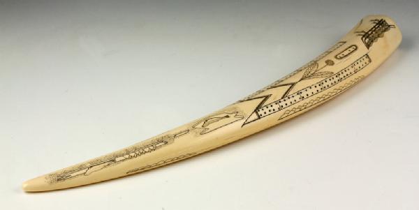 Appraisal: - Scrimshaw Decorated Walrus Tusk Scrimshaw decorated walrus tusk with