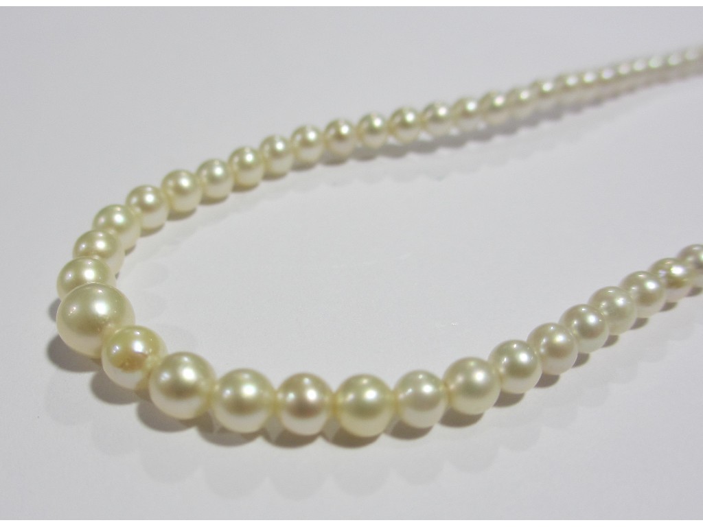 Appraisal: String of graduated cultured pearls with silver clasp