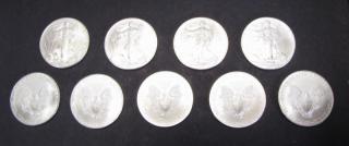 Appraisal: Description Nine One Dollar -oz Silver Eagle coins including three