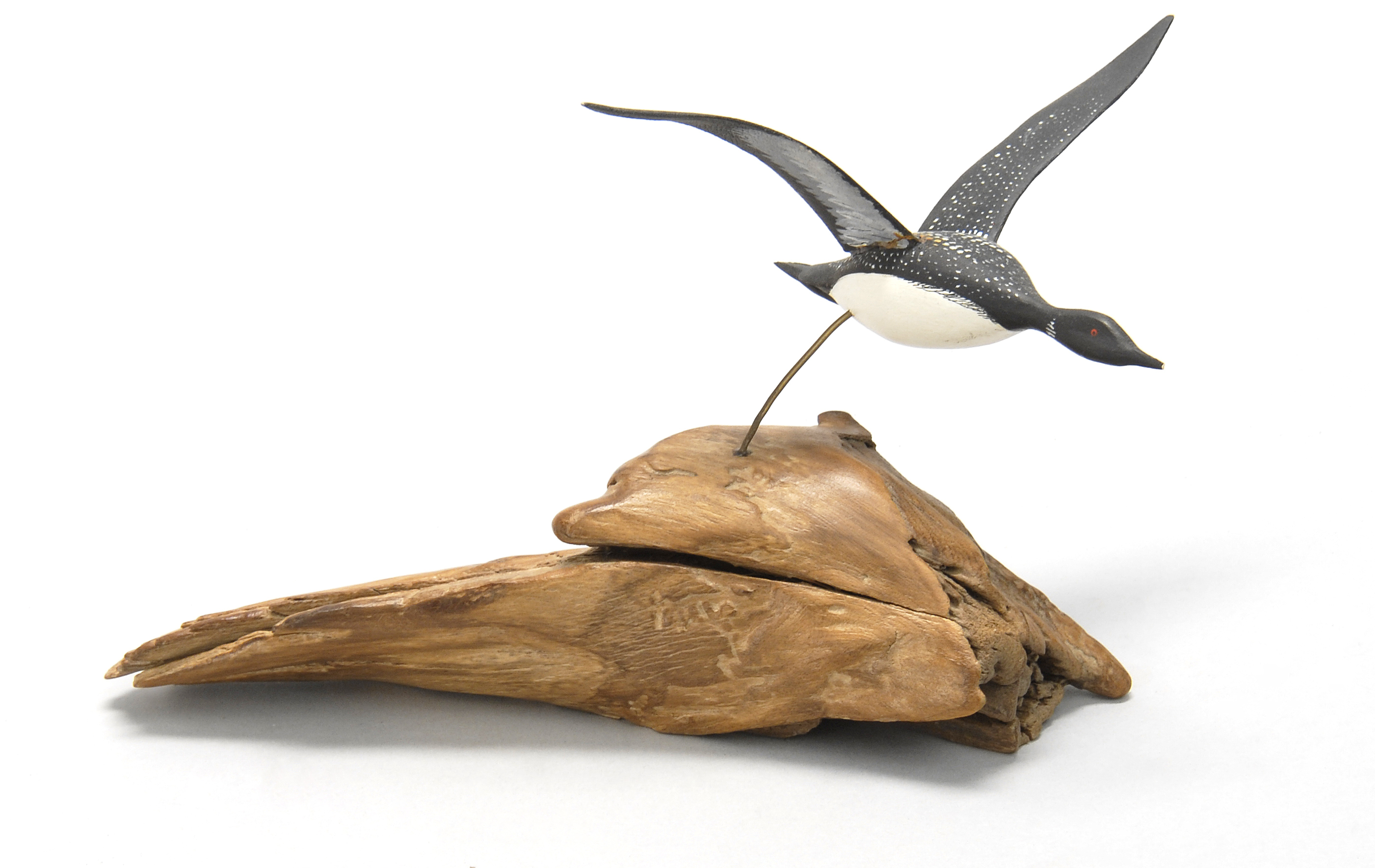 Appraisal: MINIATURE LOON th CenturyIn flying form Mounted on a driftwood