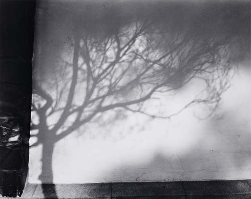 Appraisal: BRAVO MANUEL ALVAREZ - Invented landscape Silver print x inches