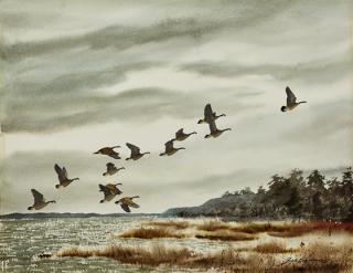 Appraisal: David Hagerbaumer - Canada Geese signed David Hagerbaumer lower rightwatercolor