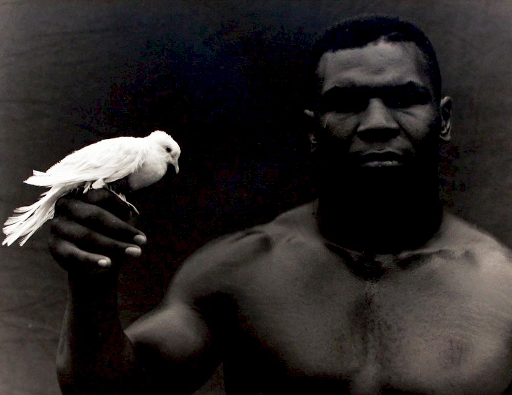 Appraisal: Michel Comte Born Michel Comte Born Mike Tyson Gelatin silver