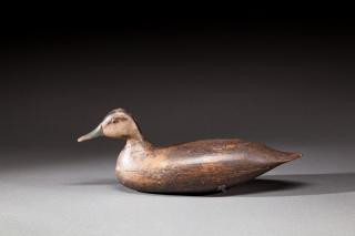 Appraisal: Swimming Black Duck by Harry M Shourds Harry M Shourds