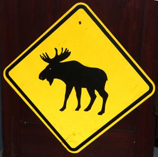 Appraisal: Moose Crossing sign x Moose Crossing sign x