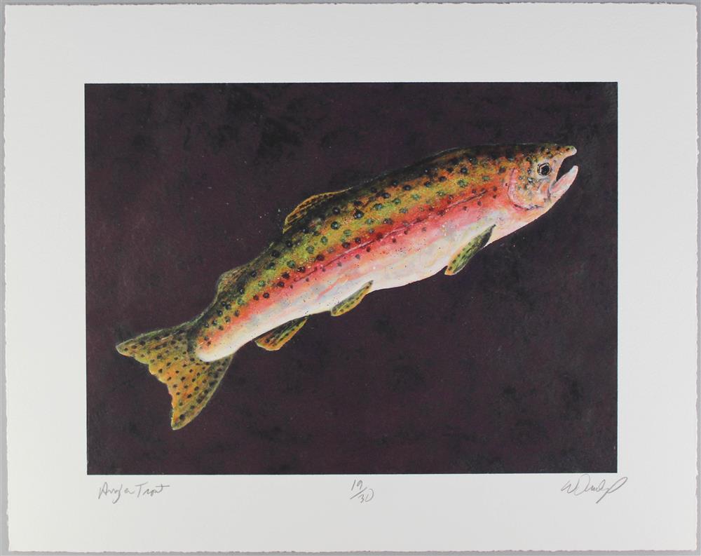 Appraisal: WILLIAM DUNLAP AMERICAN - ANGLER TROUT Hand colored print x