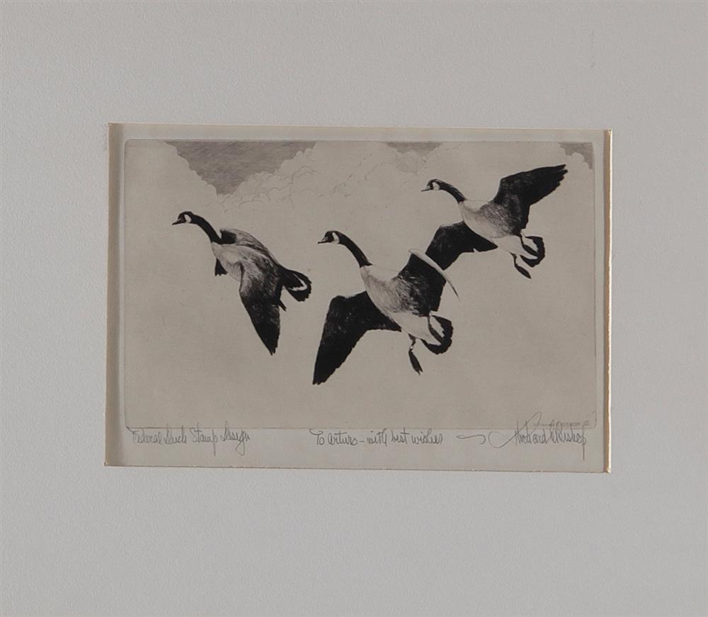 Appraisal: Richard Evett Bishop Pennsylvania - GEESE FLYING UPSIDEDOWN oil on