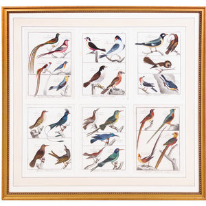 Appraisal: A Framed Group of Six Colored Engravings of Birds from