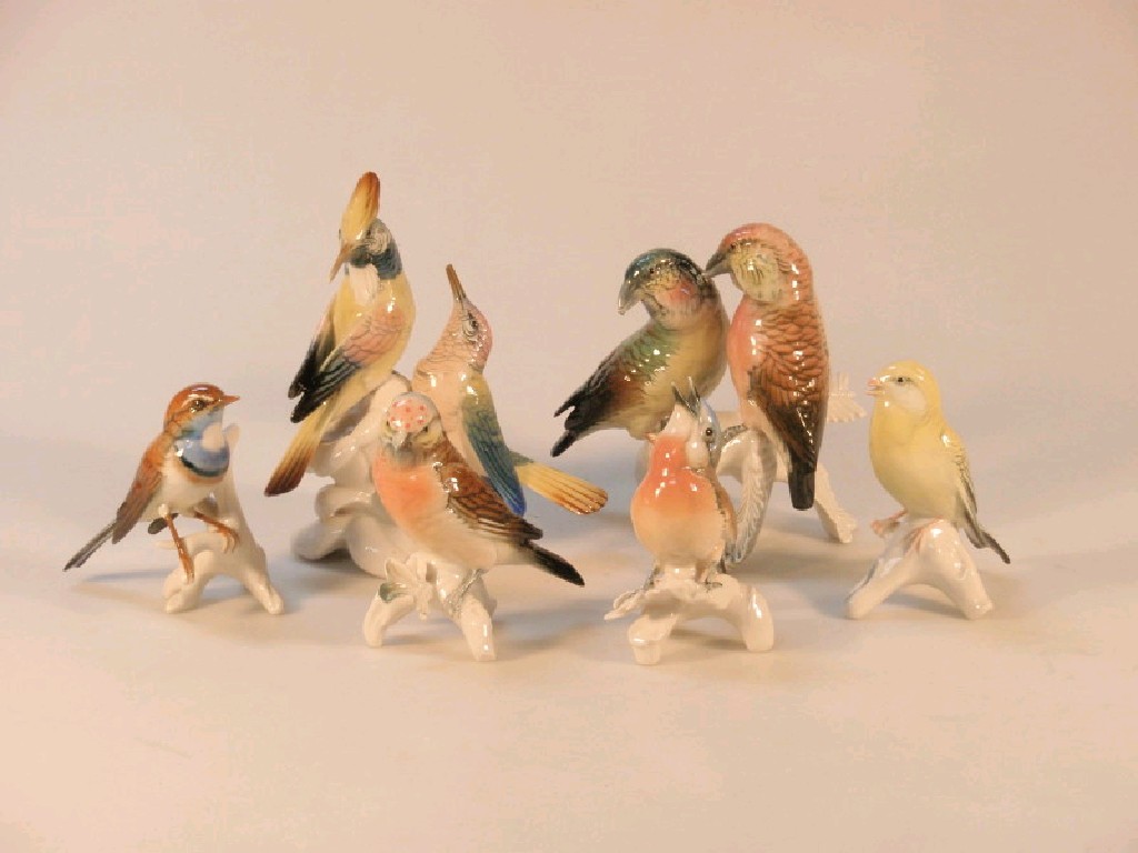 Appraisal: A group of six German porcelain birds various varieties in