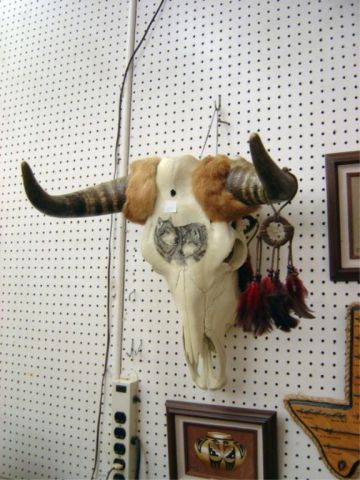 Appraisal: COW SKULL