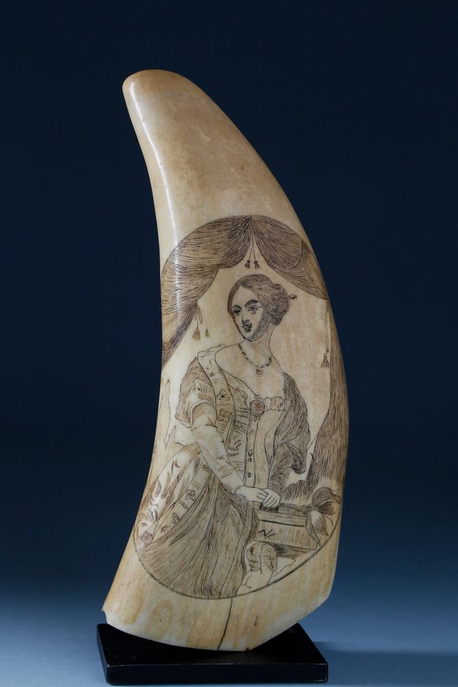 Appraisal: Scrimshaw Sperm Whale Tooth circa - Scrimshaw Sperm Whale Tooth