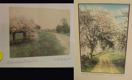 Appraisal: Two colored photographs mounted and framed under glass Wallace Nutting