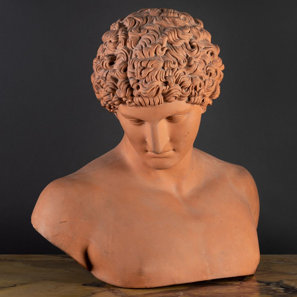 Appraisal: Terracotta Bust of Antinous After the Antique Unmarked x x