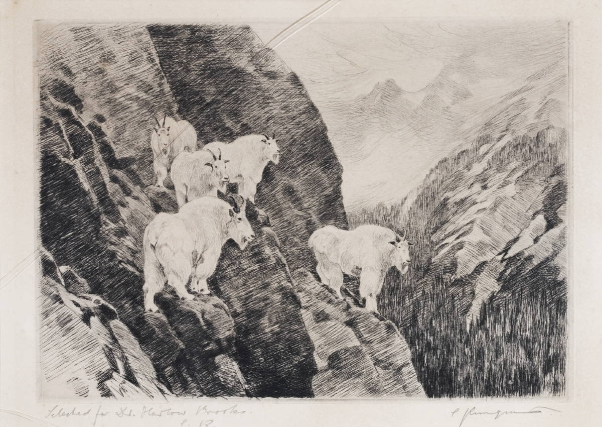 Appraisal: CARL RUNGIUS AMERICAN - MOUNTAIN GOATS Etching and drypoint x