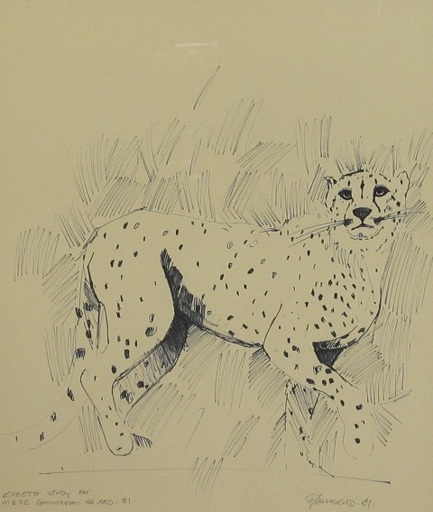 Appraisal: Graeme Townsend born Cheetah Study mixed media on paper signed