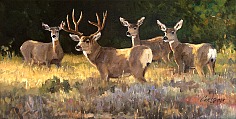 Appraisal: Ken Carlson Present Mule Deer in Early Lightoil on board