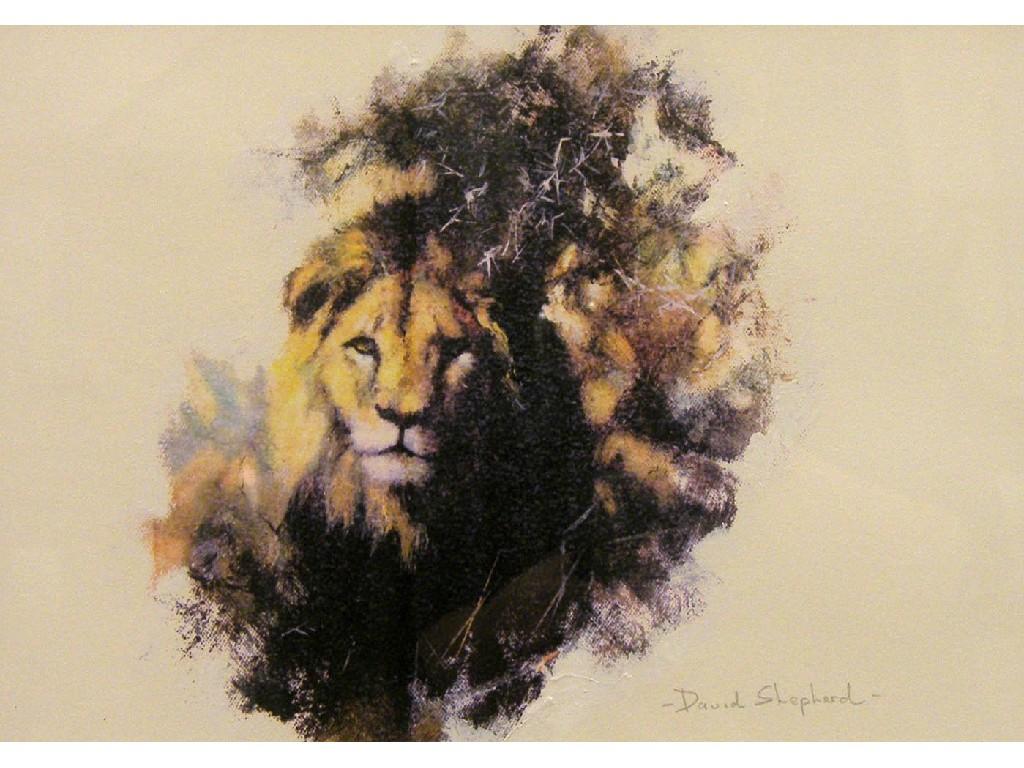 Appraisal: After David Shepherd - lion signed in pencil artist's proof