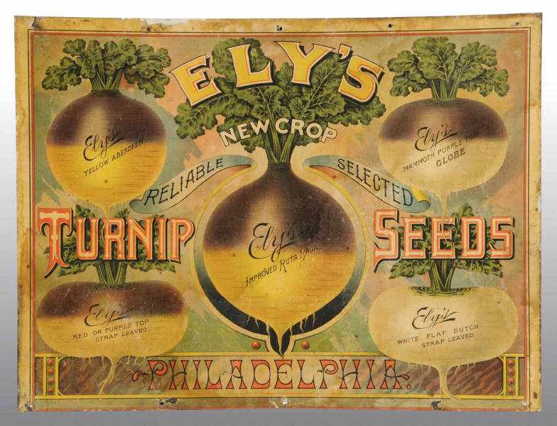 Appraisal: Paper on Tin Ely's Turnip Seeds Poster Description Circa s