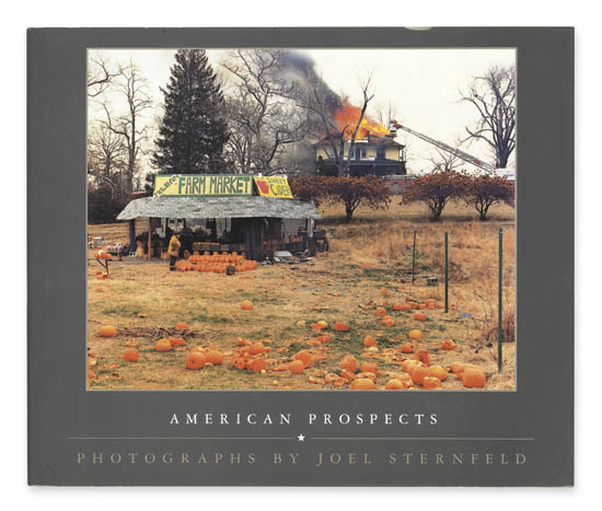 Appraisal: STERNFELD JOEL American Prospects Introduction by Andy Grundberg Afterword by