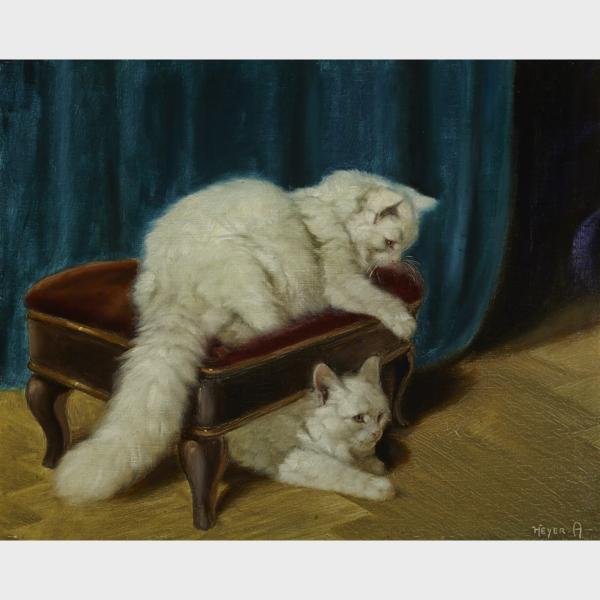 Appraisal: Arthur Heyer - WHITE PERSIAN CATS PLAYING ON A FOOTSTOOL