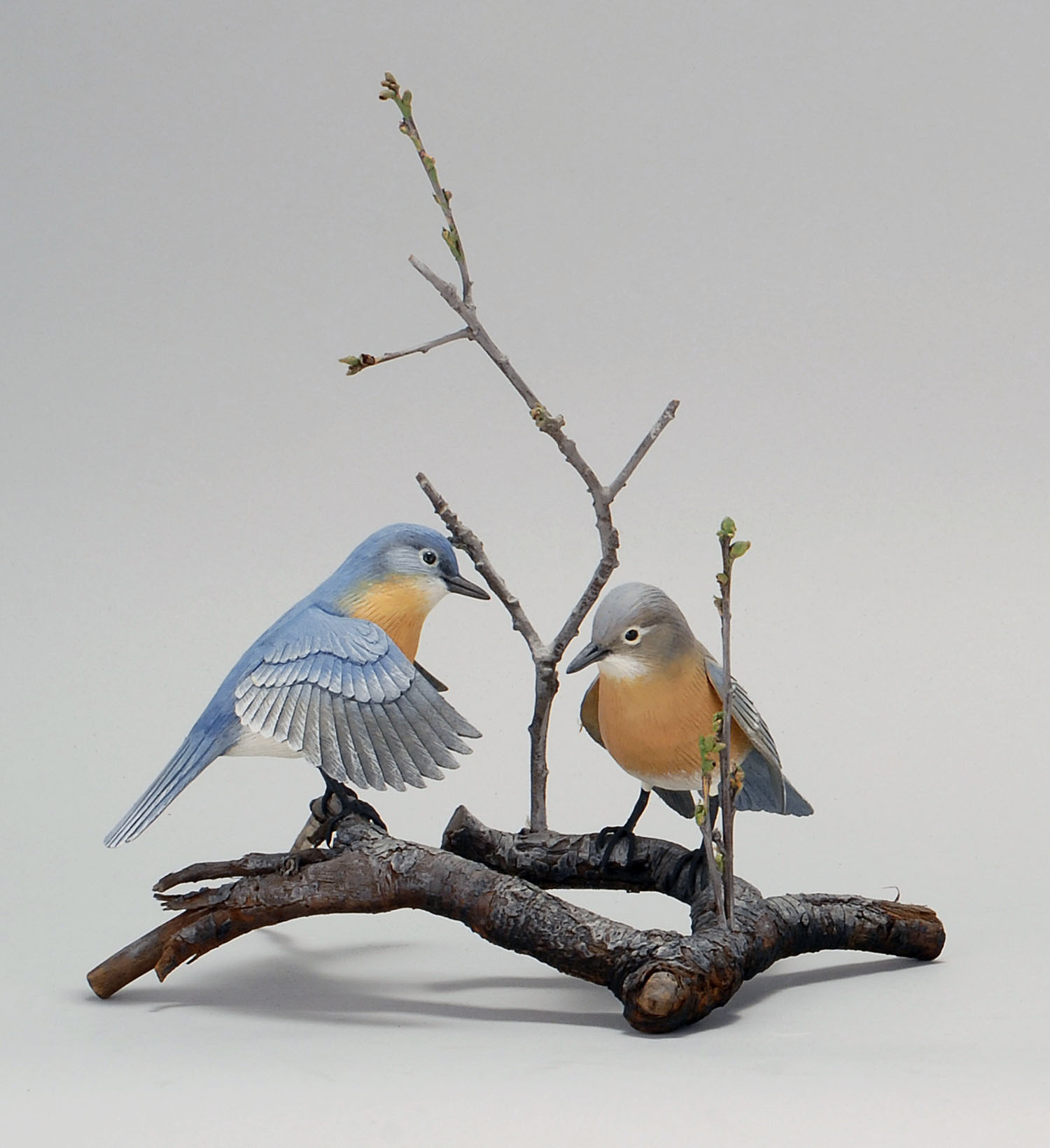 Appraisal: PAIR OF LIFE-SIZE BLUEBIRDS By Stan Sparre of Cape Cod