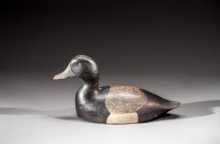 Appraisal: Bluebill Drake by Chancy Patterson Bluebill DrakeChancy Patterson - Wellesley