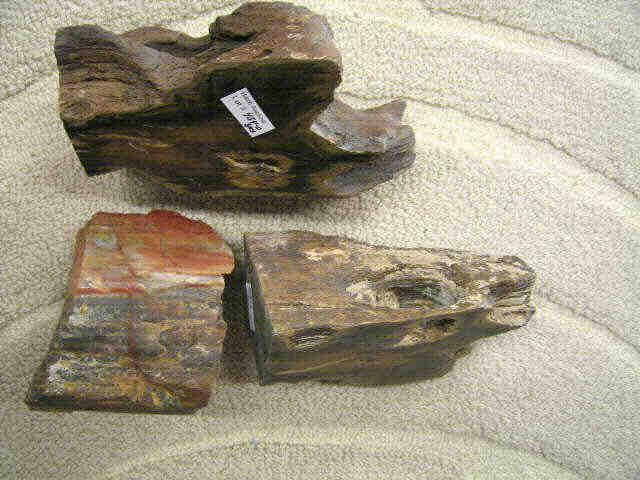 Appraisal: Pcs of Petrified Redwood