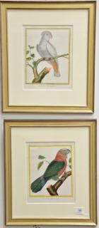 Appraisal: Francois-Nicholas Martinet - Set of five hand colored lithographs Bird