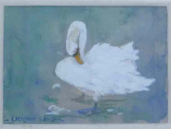 Appraisal: Vernon Ward - watercolour and gouache Study of a preening