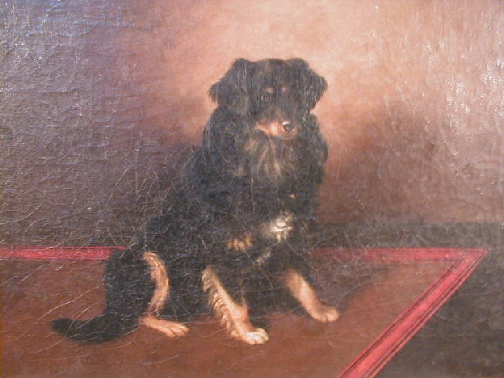 Appraisal: WT Monogrammist thC A study of a seated spaniel oil