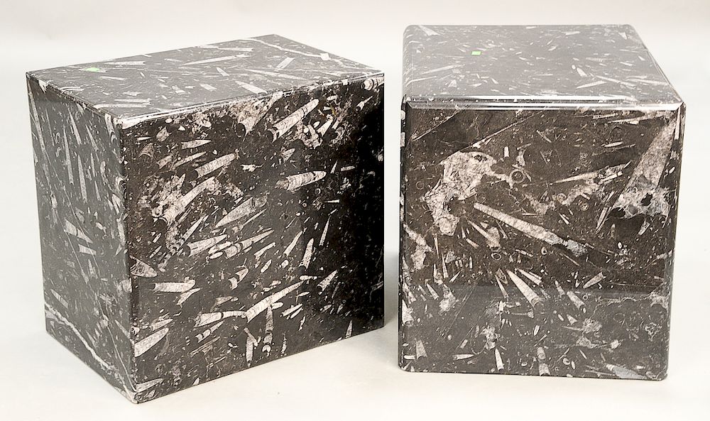 Appraisal: Near matching pair of black fossil marble end tables or