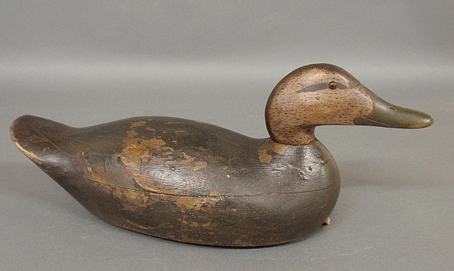 Appraisal: - Mason premier grade black duck decoy with old surface