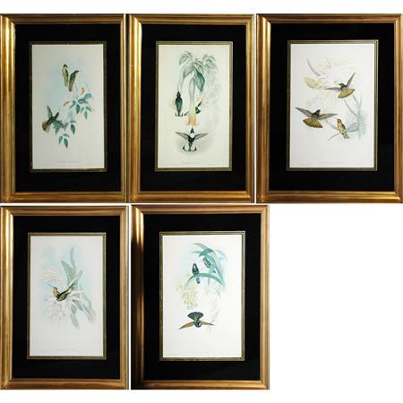 Appraisal: J Gould H C Richter HUMMINGBIRDS Five hand-colored lithographs Estimate