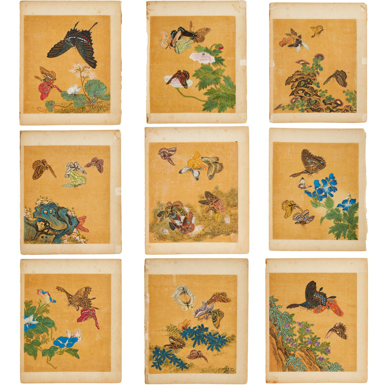 Appraisal: CHINESE SCHOOL BUTTERFLY AND FLOWER PAINTINGS Chinese School th c